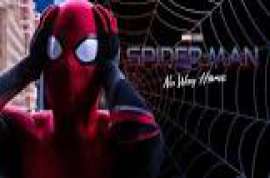 Spider Man: No Way Home 2021 WEB-DL Movie Torrent Download | Grande